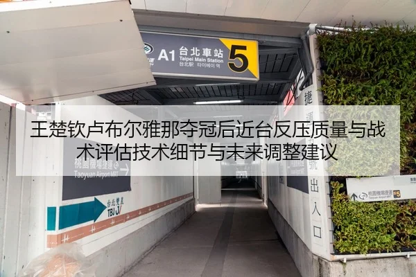 王楚钦卢布尔雅那夺冠后近台反压质量与战术评估技术细节与未来调整建议
